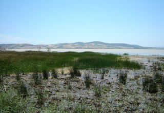 Le lac Ishkeul, importante étape sur la route des oiseaux migrateurs