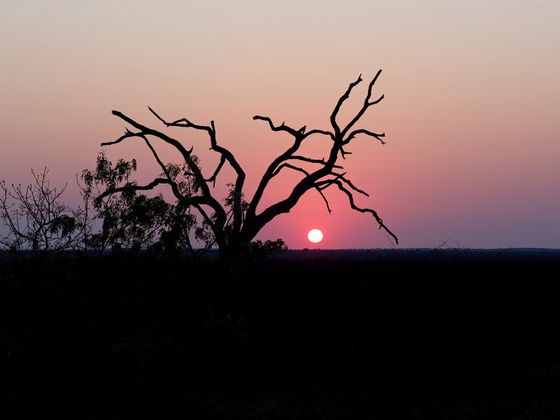 Coucher de soleil sur le parc Kruger