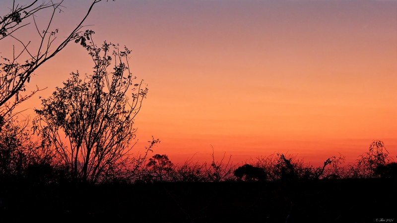 Coucher de soleil sur le parc Kruger