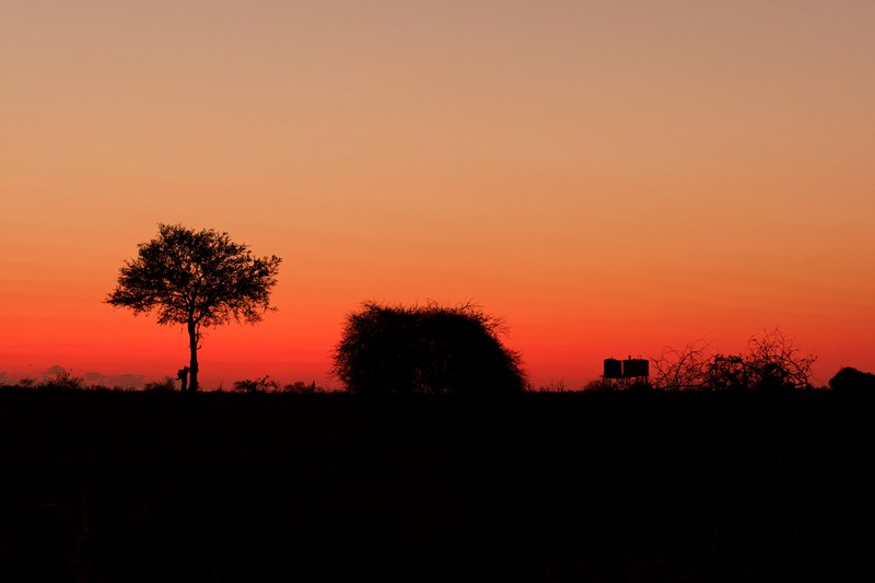 Coucher de soleil sur le parc Kruger