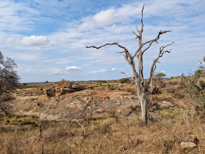 Parc Kruger