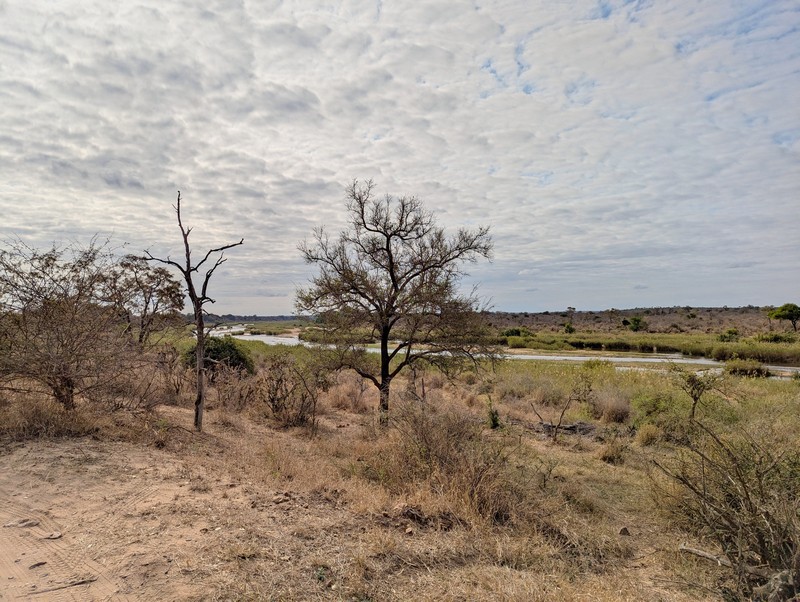 Rivière Sabie dans le Parc Kruger